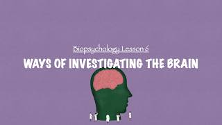 A-Level Psychology Aqa Biopsychology - Ways Of Investigating The Brain