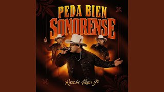 Cartera Pedida - Ramón Vega Jr.