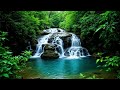 Gentle River Flow And Waterfall 🍃 Soft White Noise For Calm Mind And Deep Sleep Tonight