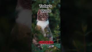 TODAY'S UPLIFTING garden QUOTE of the DAY #Shorts #Quotes