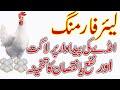 Layer Farming | Cost of Egg Production | Hindi | Urdu