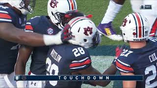 Auburn Football vs LSU Highlights
