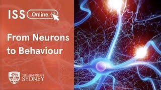 From Neurons to Behaviour — with Adrienne Fairhall