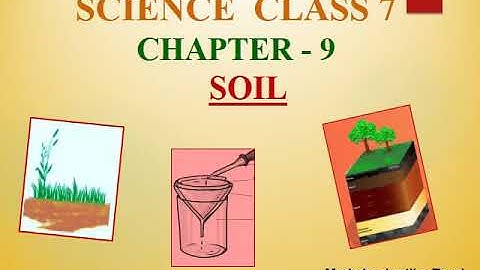 Class 7 Science Chapter 9 Soil mp4