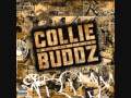 Collie Buddz Feat  Roache - Sensimilla