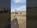 #softballdrills #softballtraining #softballhitting #softballpitching #usasoftball#youtubeshorts