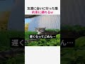 友達に会いに行った猫 約束に遅れるw