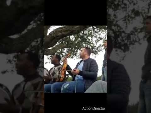 صابر الهوى ساكني أنا و الكاس نبات نغني   