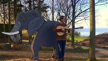 Elephants - Riley Pearce (Live & Acoustic in Nyborg, Denmark)