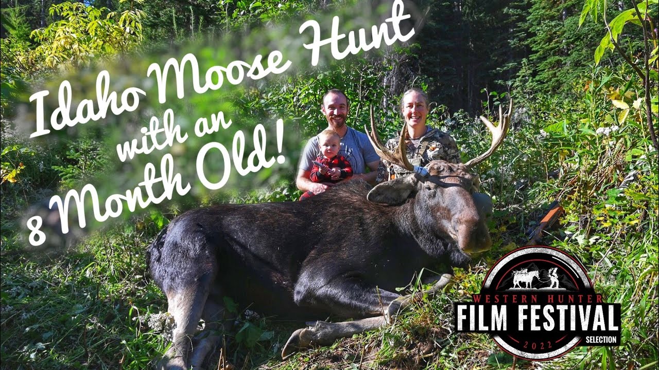 Y0E2 Idaho Moose Hunt with an 8 Month Old! YouTube