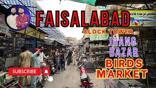 New video Faisalabad Bird’s Market Update jhang bazar clock tower public demand