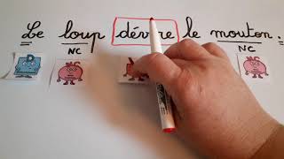 CP/CE1 Rituel de grammaire : la nature des mots
