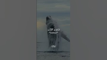 وذا النون اذ ذهب مغاضبا سورة الأنبياء
