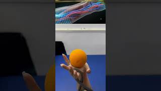 Weak Grip? Try This Drill 🎾#handstrength #wristpain #wriststrength #gripstrength #forearmworkout