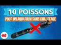 10 poissons daquarium sans chauffage