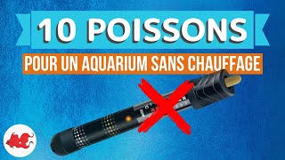 10 poissons d'aquarium sans chauffage