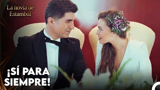 La Boda Perfecta De Sureyya y Faruk - La novia de Estambul Capítulo 2