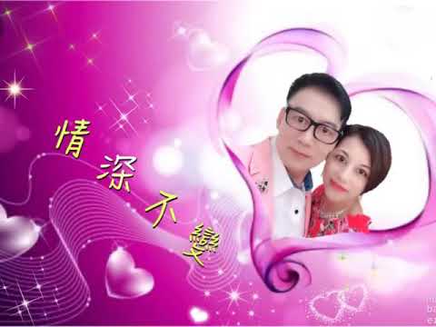情深不變