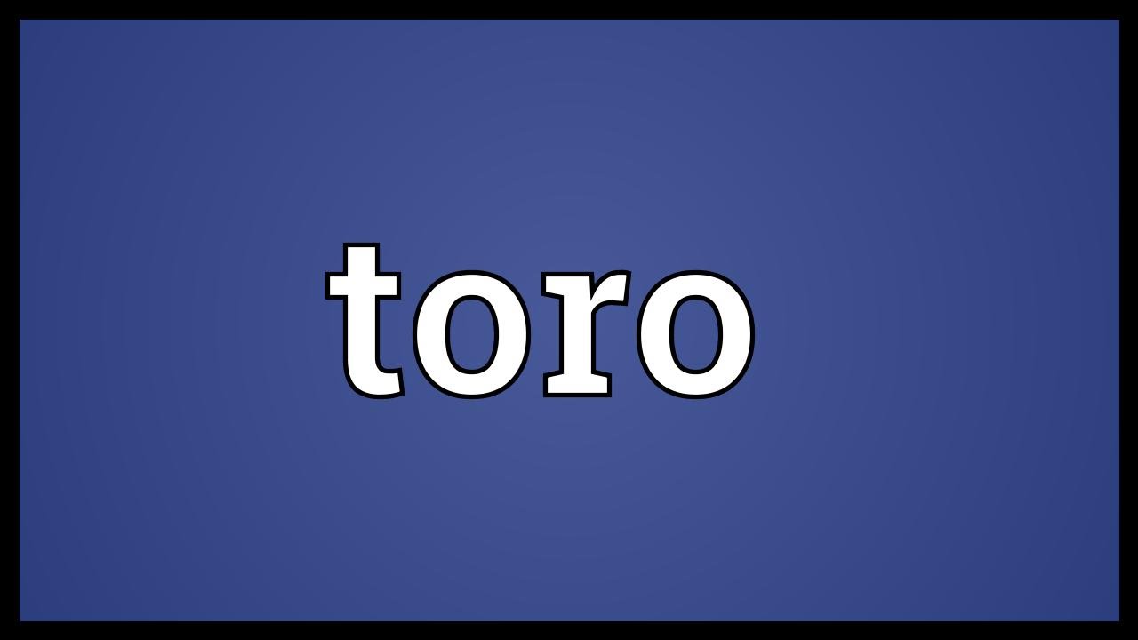 Toro Meaning YouTube
