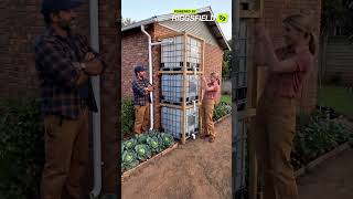 This Smart Rainwater Setup Saves Every Drop! 💧🏡 #EcoDIY #GardenHack