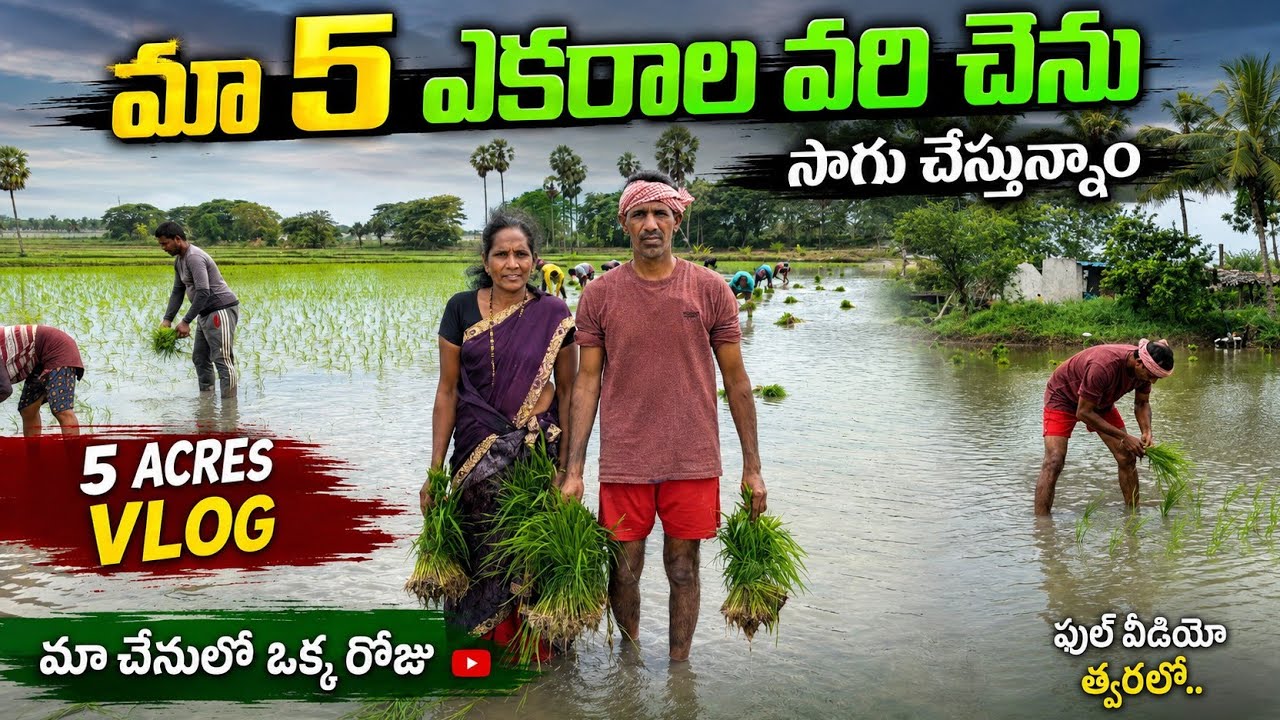Latest Title & Thumbnail