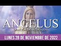 Ángelus de Hoy LUNES 28 DE NOVIEMBRE de 2022 ORACIÓN DE MEDIODÍA