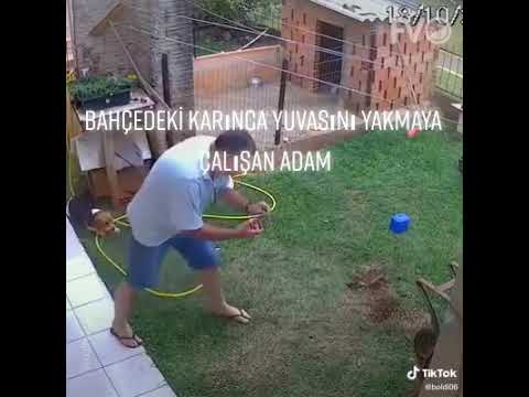 Video: Bahçede karıncalarla savaşmak