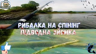 ПІДВОДНА ЗЙОМКА на р.Лімниця / Рибалка на спінінговий-фідер))