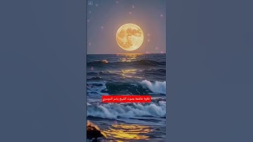 تلاوة خاشعة بصوت الشيخ ياسر الدوسري #hearttouchingtilawat #اكسبلور #المصحف #القرآن_الكريم #لايك #تر