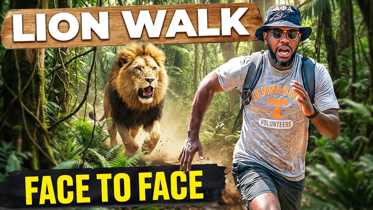 What Actually Happens When You Walk With Lions in Zambia (Mukuni Big Five Experience)