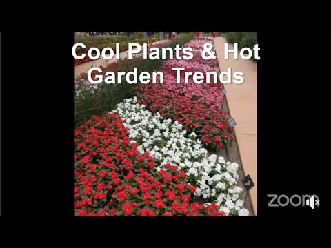 Mark Dwyer Presents: Cool Plants and Hot Garden Trends for 2020