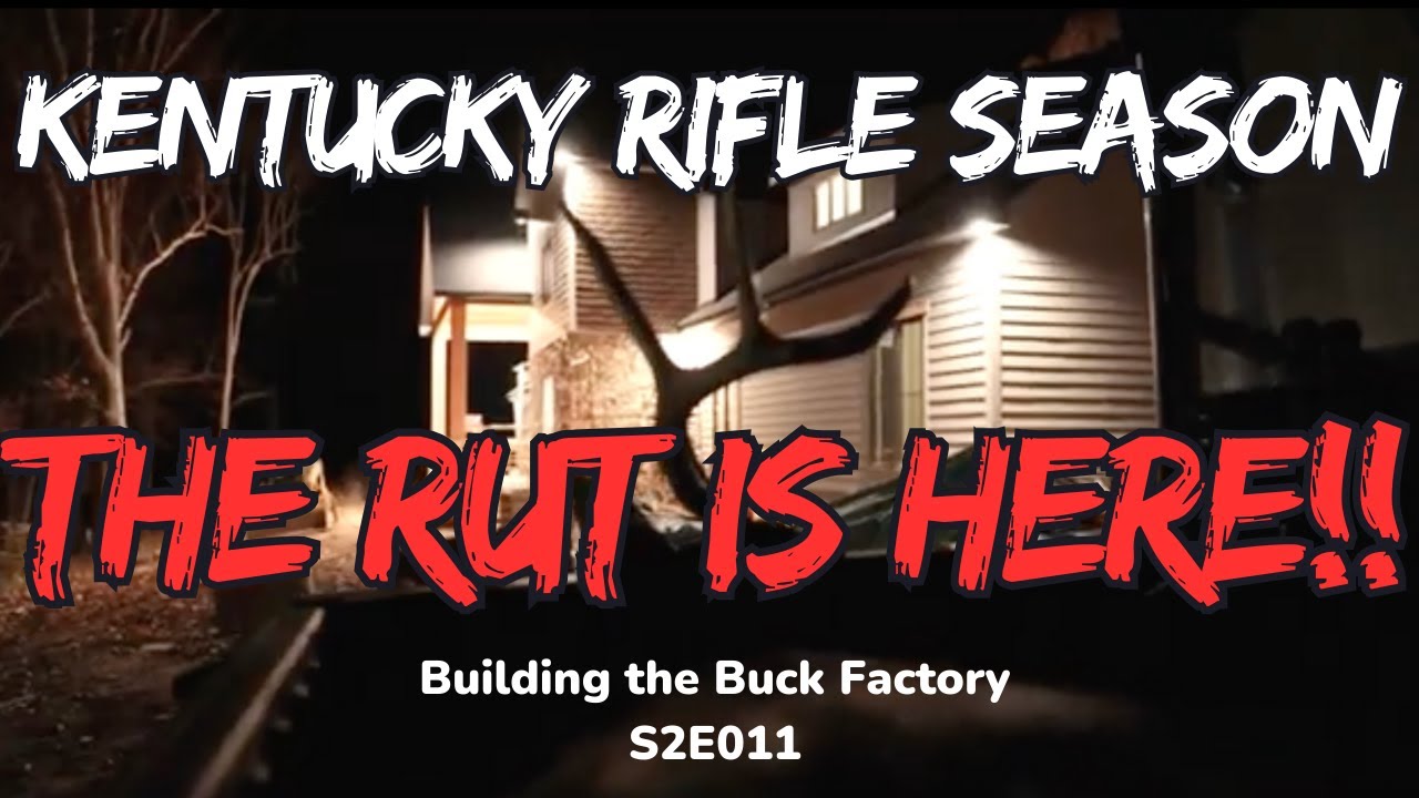 KENTUCKY RIFLE SEASON! THE RUT IS HERE!! Building the Buck Factory