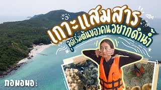 เกาะแสมสาร จุดเริ่มต้นของคนอยากดำน้ำ | กอมอนอ