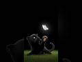 Baby Panther Butterfly Cute Live Wallpaper 🐾🦋 Most Adorable Lockscreen 2026 #shorts