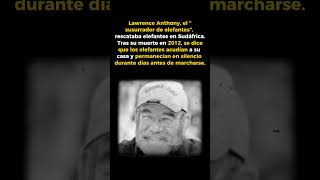 Lawrence Anthony: el hombre que escuchaban los elefantes#Historia, #Animales,