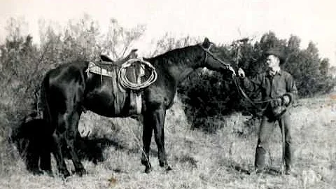 Cecil Morris Movie