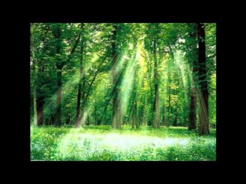 გიშულირი  - ლია ანთია