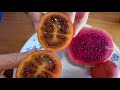 Trying exotic fruits from La Palma: pitaya (dragon fruit) and tomarillo!