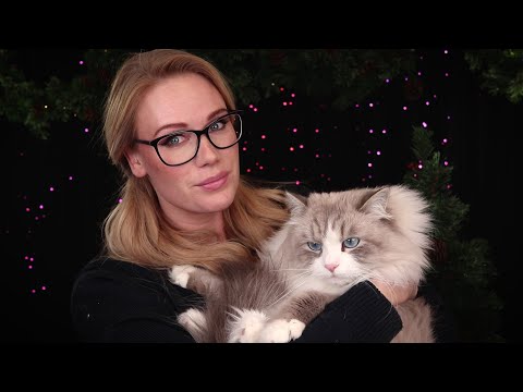 Have PRE-CHRISTMAS FUN with my CAT and I  🎄  [RELAXING ASMR]