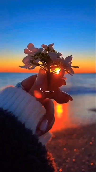 Ab_toh_aaja_tu_kahin_se 😔 aesthetic shorts #love #lofistatus #lofimusic #aesthetics #shorts #foryou