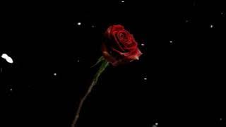 HANYA INGIN KAU TAHU - REPVBLIK (COVER BY TRI SUAKA)