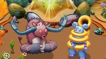 Flum Ox duets Sooza on Amber island