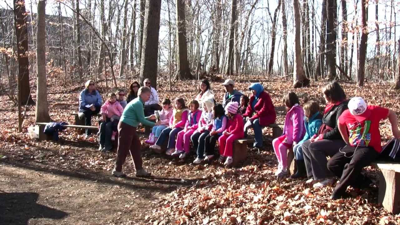 Learning About Your Forests - Connecticut Forest & Park Association