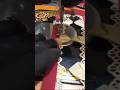 neck design stitching easy tips/neck design #shortsvideo #shortsfeed #short