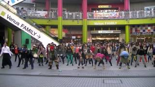 glee JAPAN Flashmob 2012 in Odaiba (2nd)