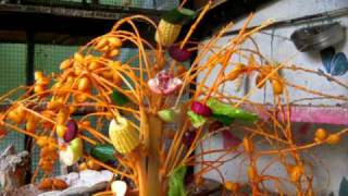 DSCN1902.AVI