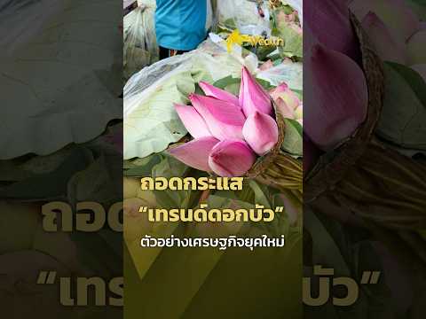 Deconstructing the “Lotus Flower Trend”: An Example of the Modern Economy | PPTV Wealth