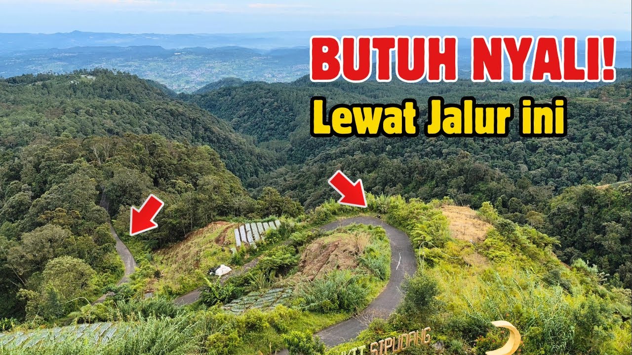 BUTUH NYALI! Jalur Tercepat dari Pantura ke Dieng