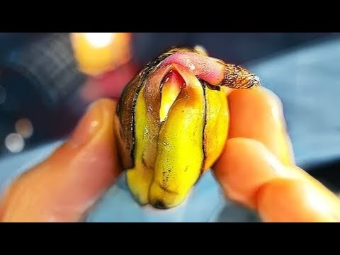 Video: Jak si doma vypěstovat mango ze semínka?
