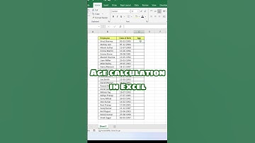 Age calculation in Excel ‼️ #excel #asmr #computer #excelformula #tricks #exceltips #trending #yt
